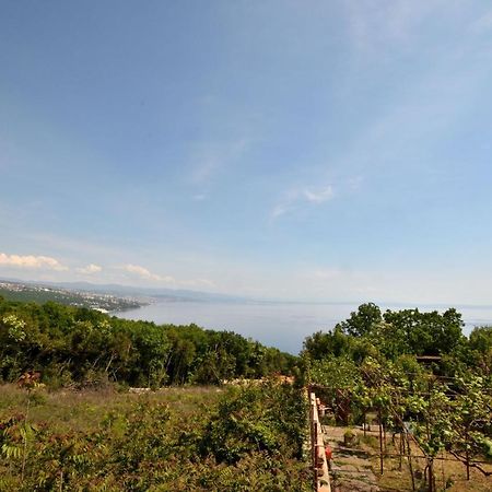 House Pobri Villa Opatija Exterior photo